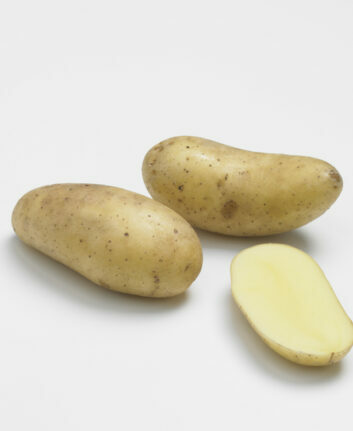 Pommes de terre Charlene