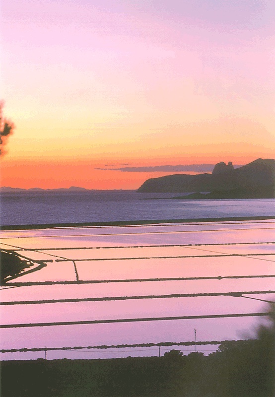 Salines Ibiza