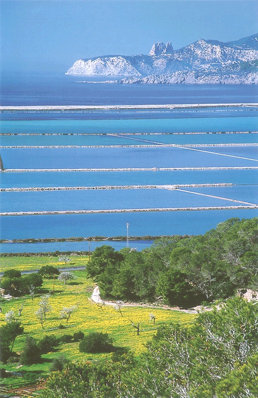 Salines Ibiza