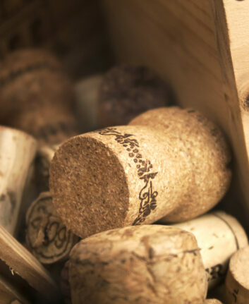 Bouchons ©Sidarta Shutterstock.jpg