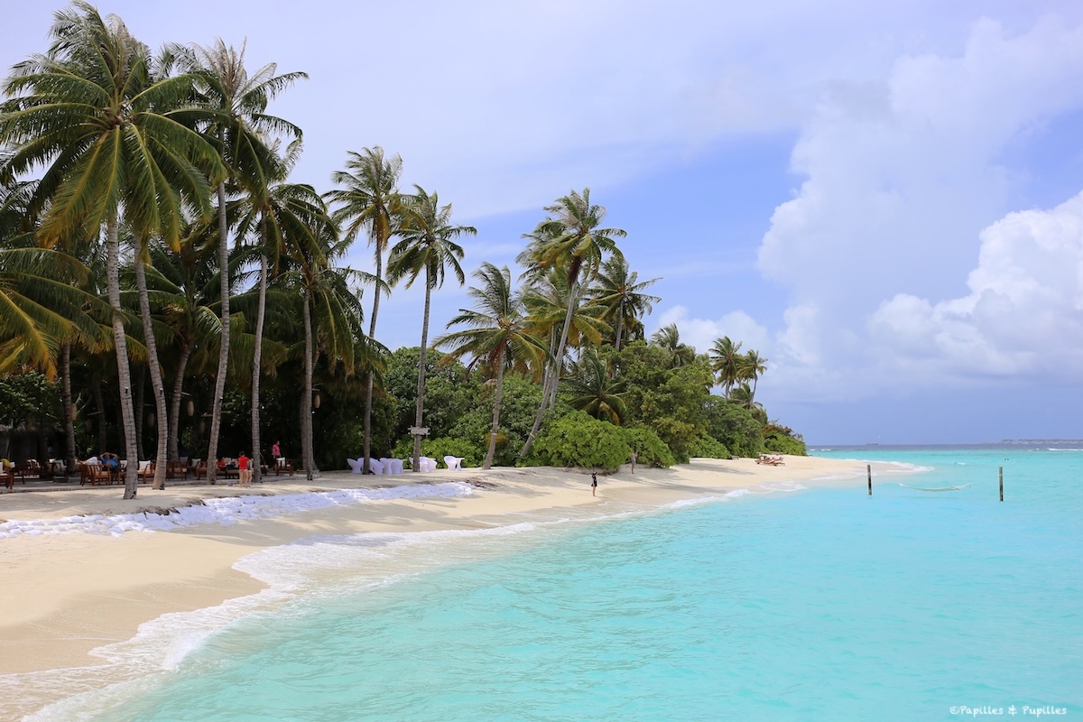 La plage, Maldives