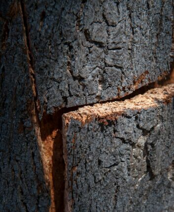 Liège ©Amorim Cork Italia