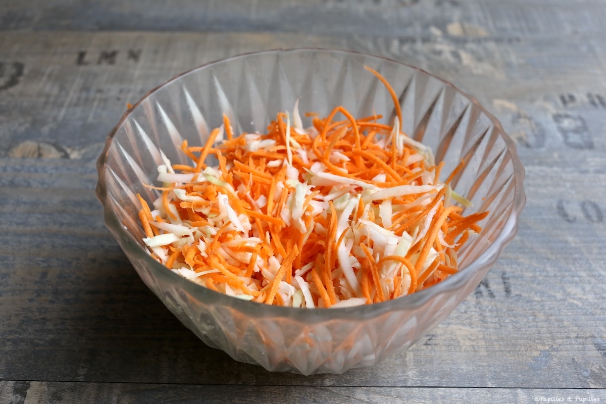 Mélange chou carottes