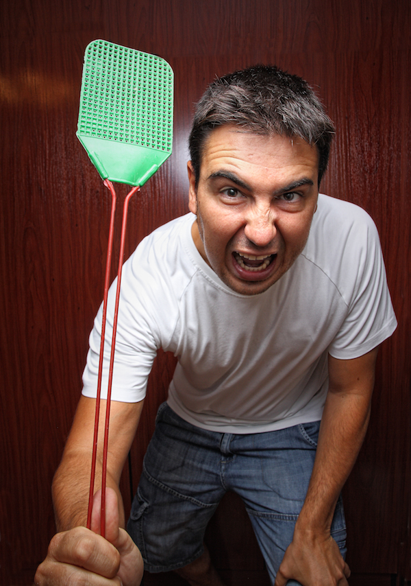 j'en peux plus des moucherons