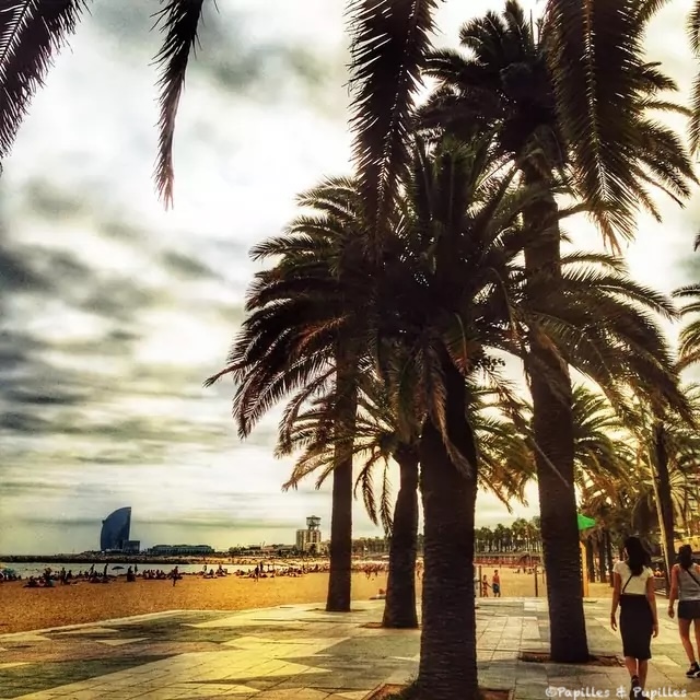 From Barcelona with Love