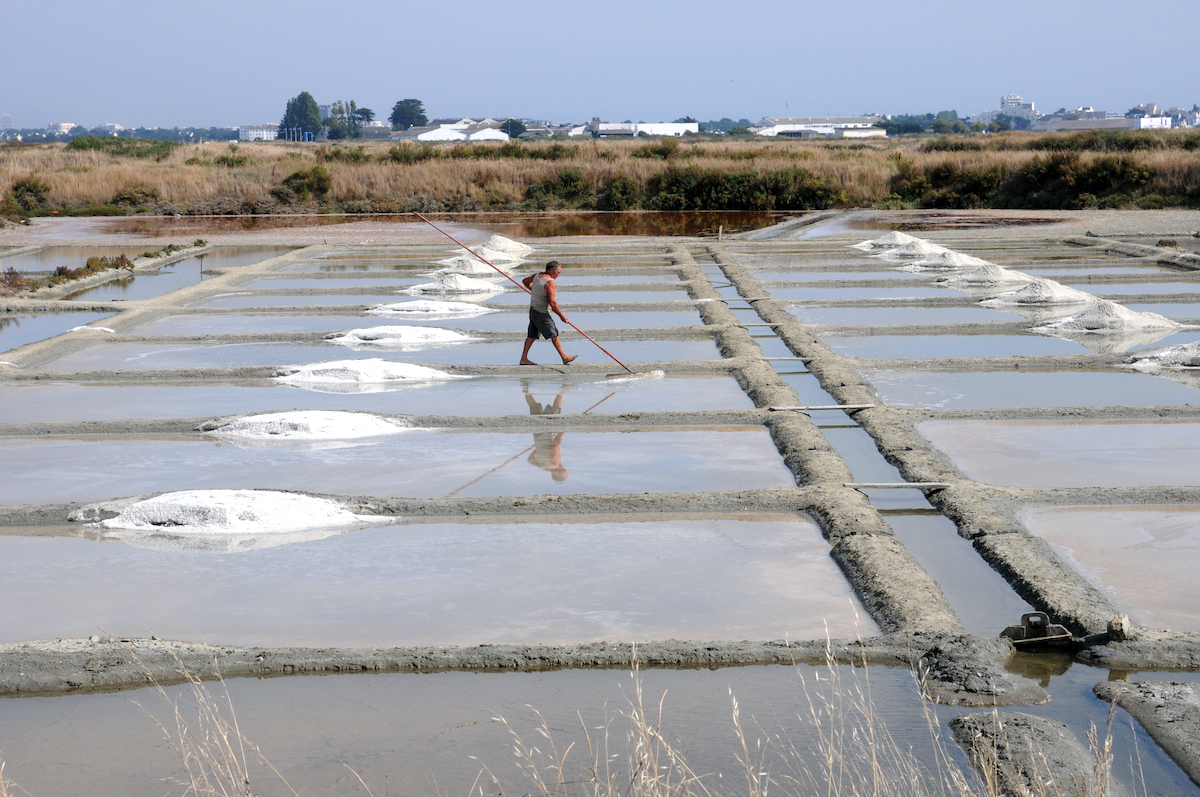 Marais salants - Guérande ©Pack-Shot shutterstock