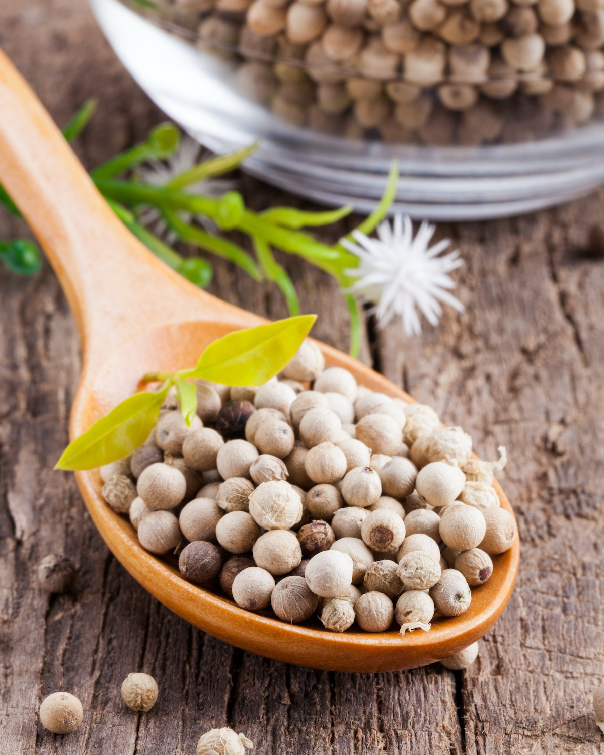 Poivre blanc ©gebai shutterstock