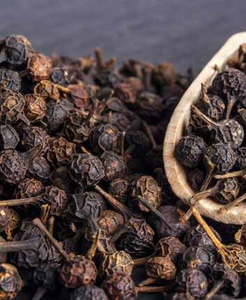 Poivre à queue Cubebe noir ©Olivier Wilde Shutterstock