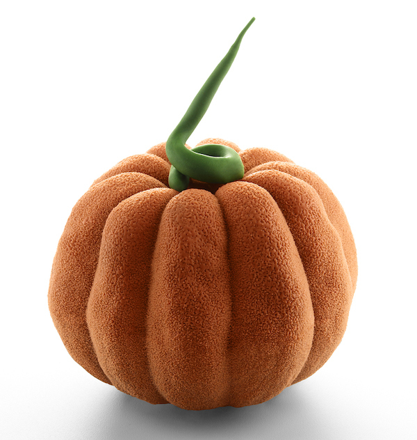 Citrouille mystère © Laurent Fau