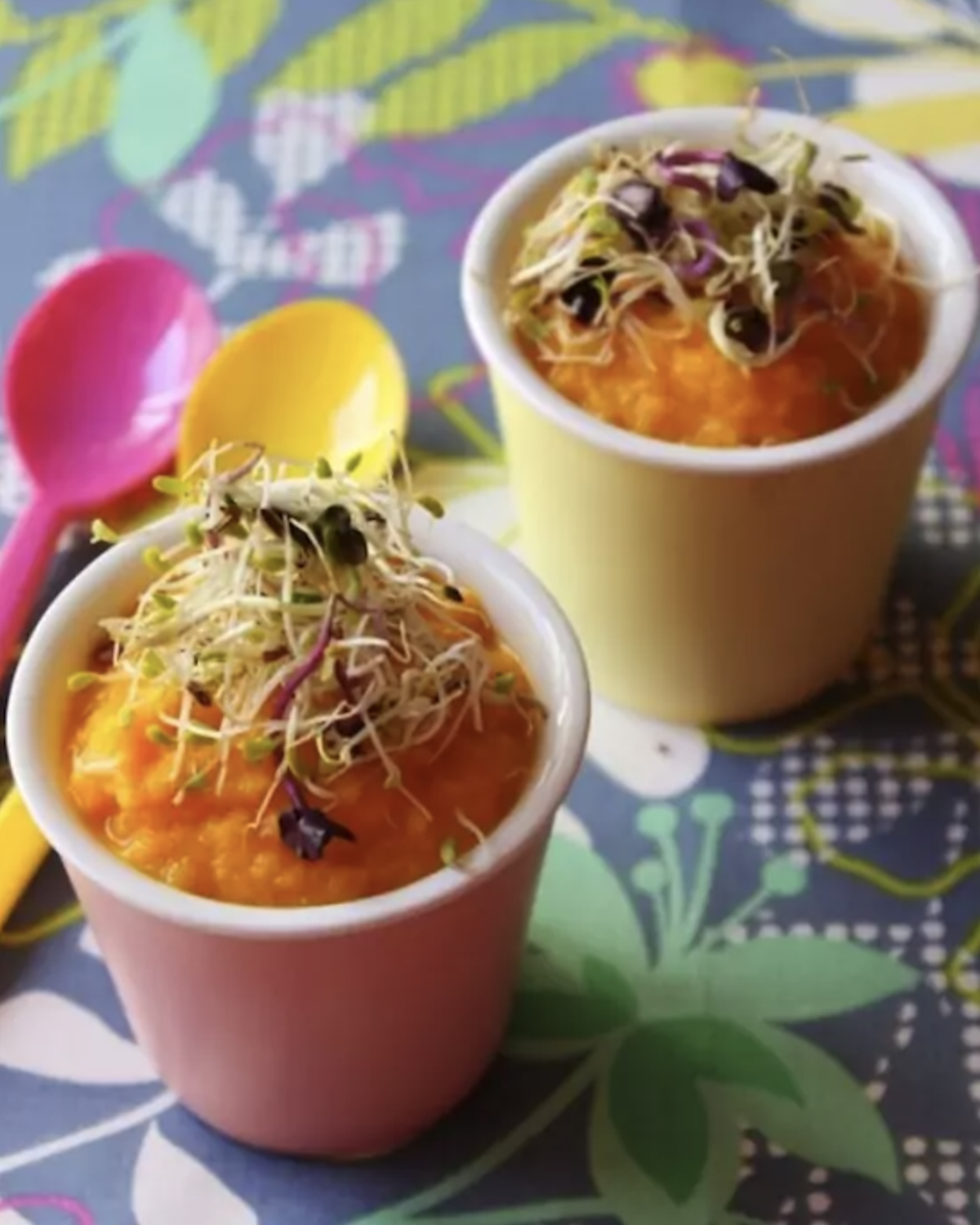 Mousse de carottes à l’orange et au cumin