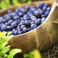 Myrtilles ©VisitFinland