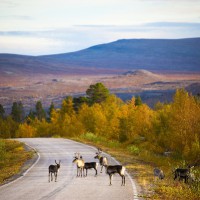 Rennes ©VisitFinland