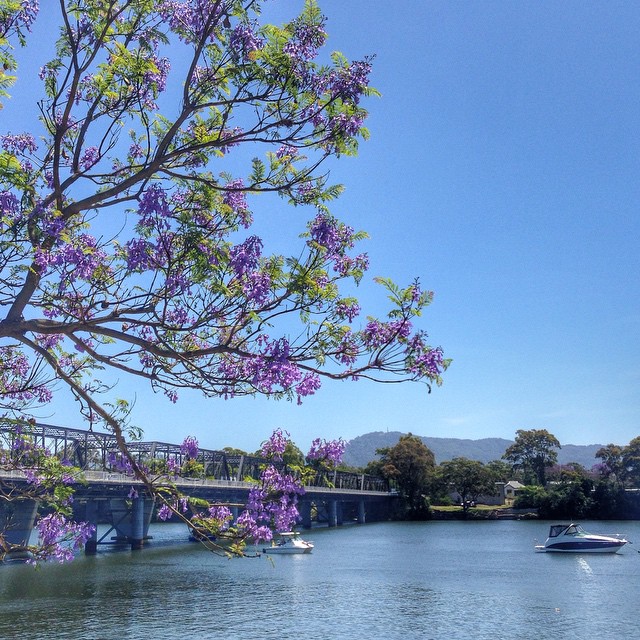 Shoalhaven river nowra