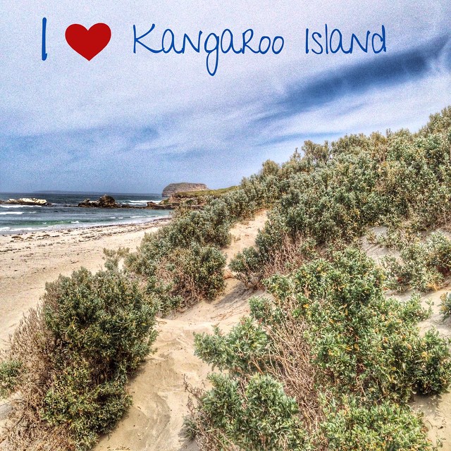 Kangaroo Island : sauvage et magnifique.
