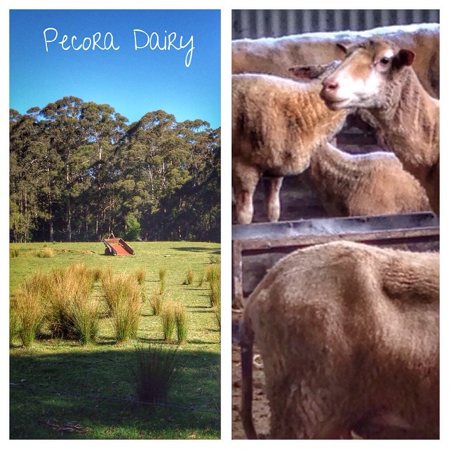 En Australie on fait aussi du fromage et du bon