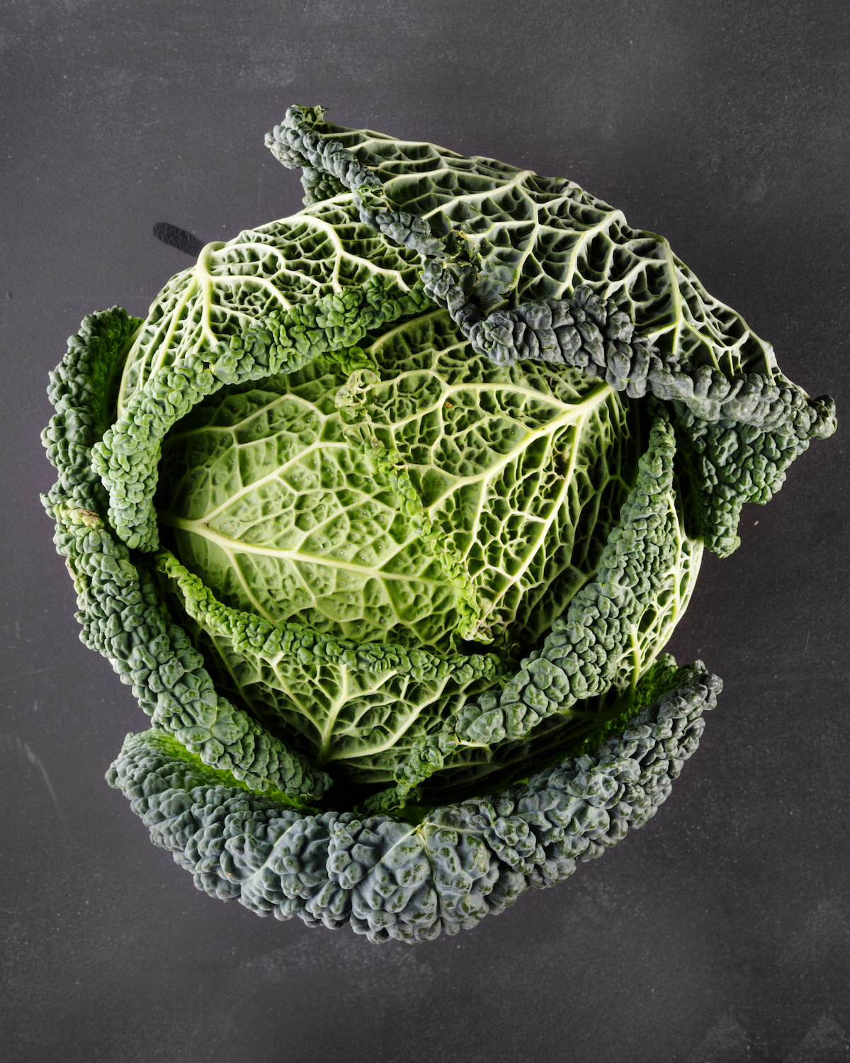 Chou vert ©Dejan Dundjerski Shutterstock