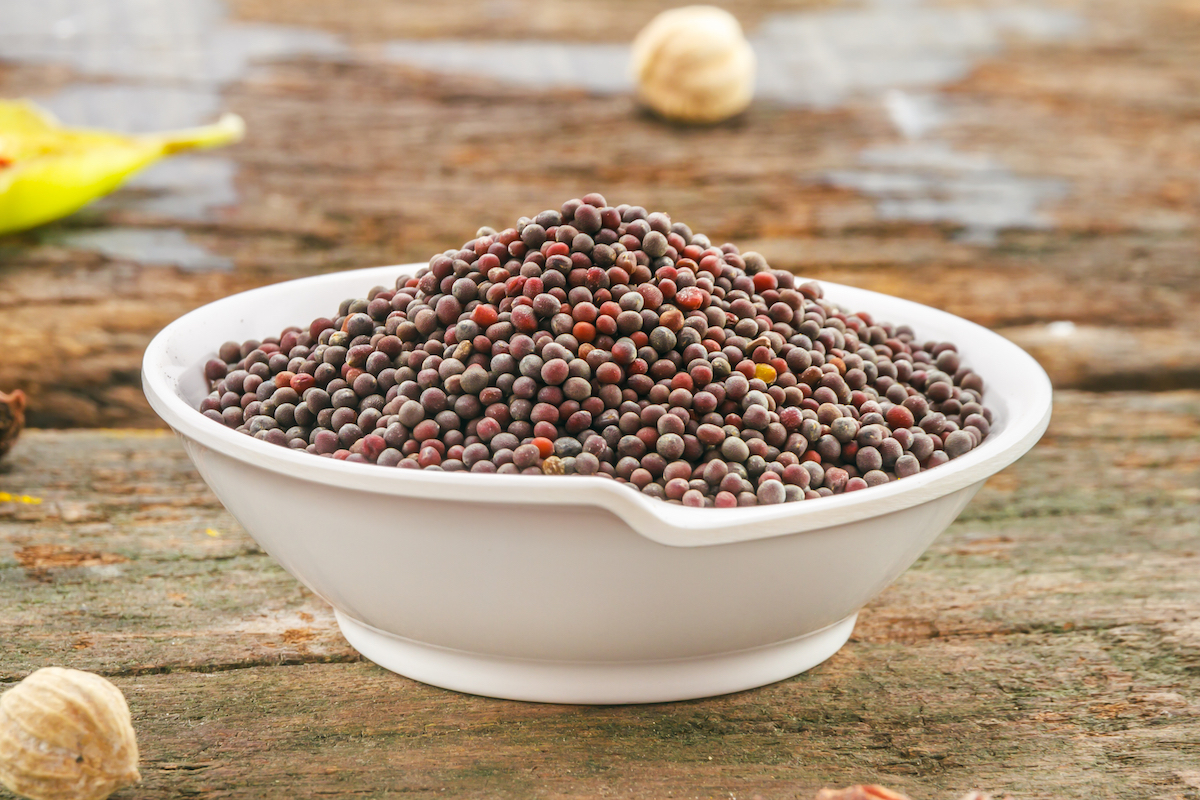 Graines de moutarde noire ©JK1991 shutterstock