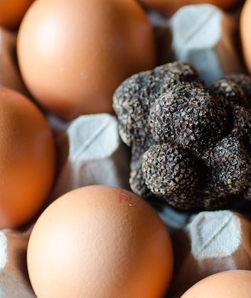 Truffes ©Robin Stewart shutterstock