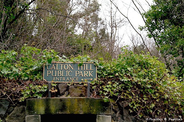 Calton Hill, Public Park