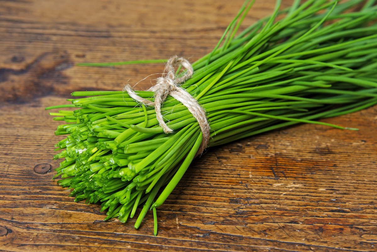Ciboulette, une délicieuse herbe aromatique
