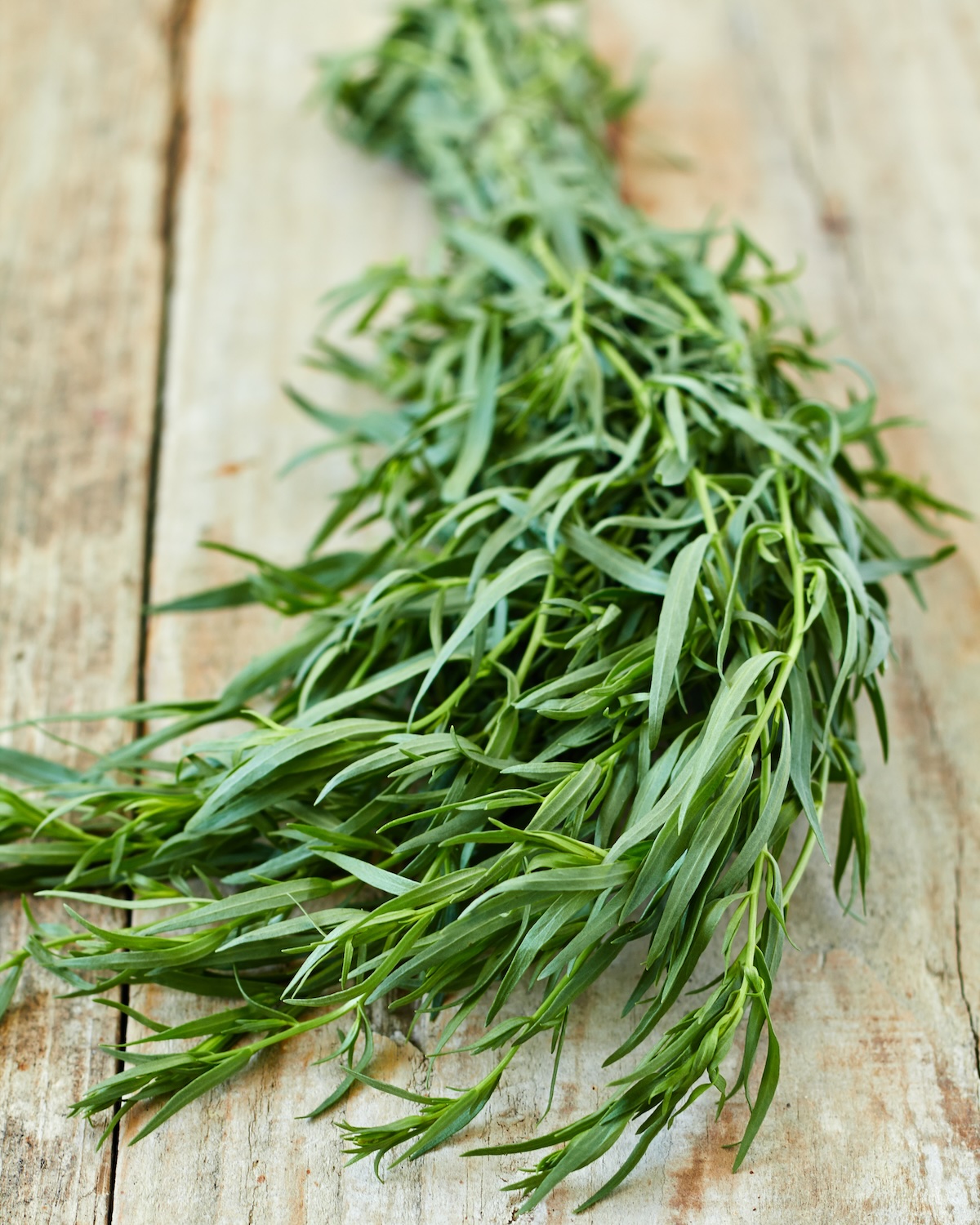 Estragon ©shutterstock