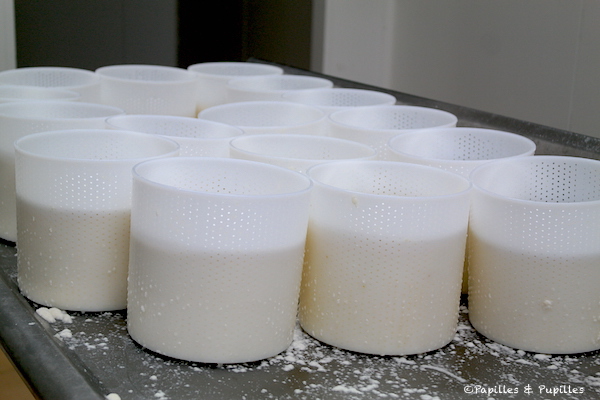 Fabrication des fromages - Pecora Dairy