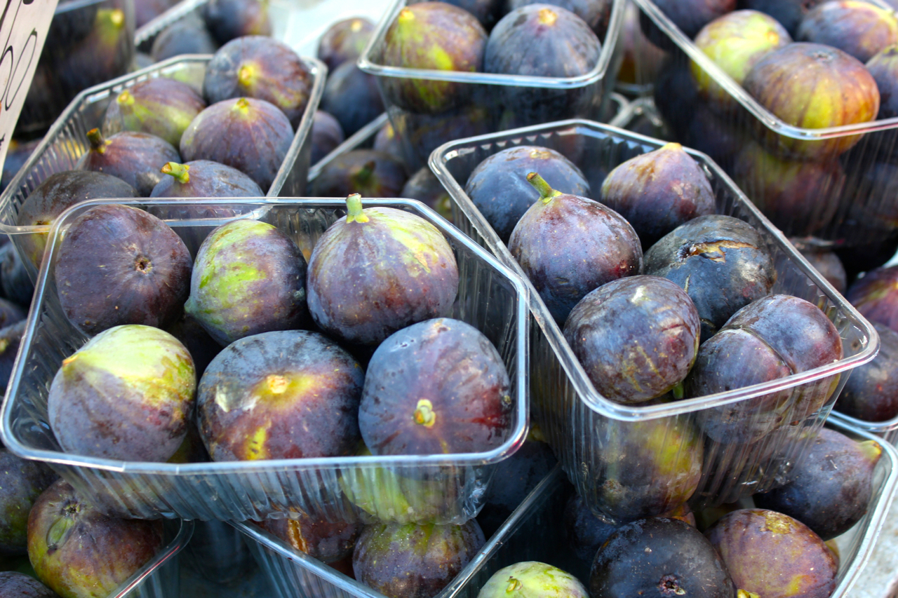 Figues ©Kandukuru Nagarjun CC BY 2.0