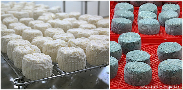 Fromages - Pecora DairyFromages - Pecora Dairy