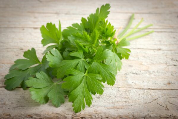 Persil plat (c) como shutterstock