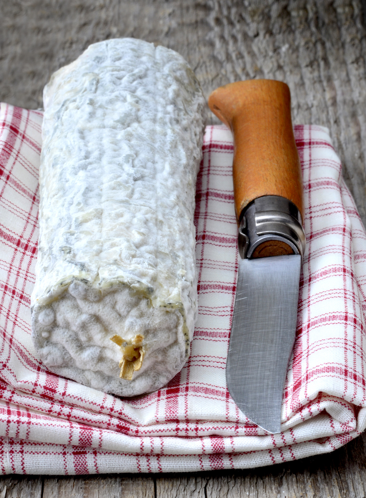 Sainte Maure de Touraine ©Mirabelle Pictures shutterstock