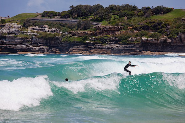 Surfeur Sydney ©Archiwiz shutterstock