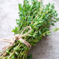 Thym ©natalia bulatova shutterstock