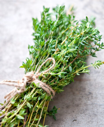 Thym ©natalia bulatova shutterstock