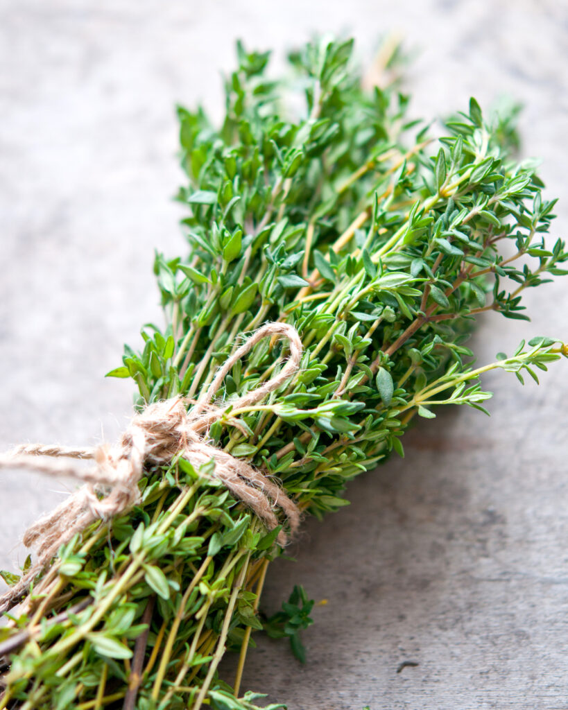 Thym ©natalia bulatova shutterstock