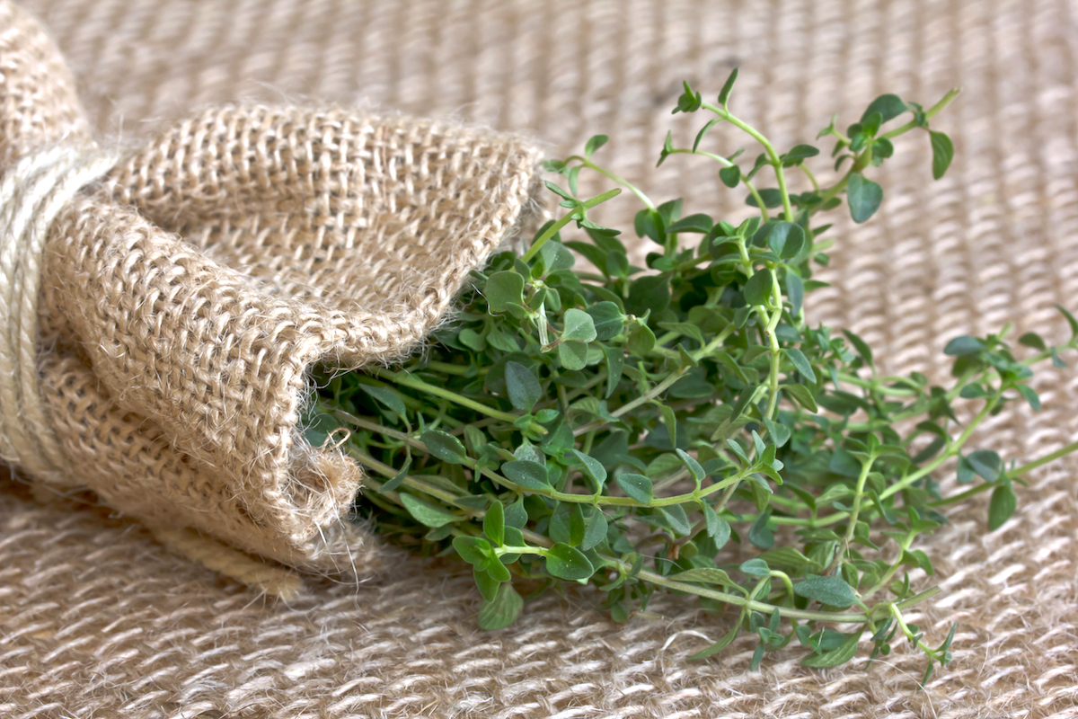 Thym citron ©Forever Lee - Shutterstock