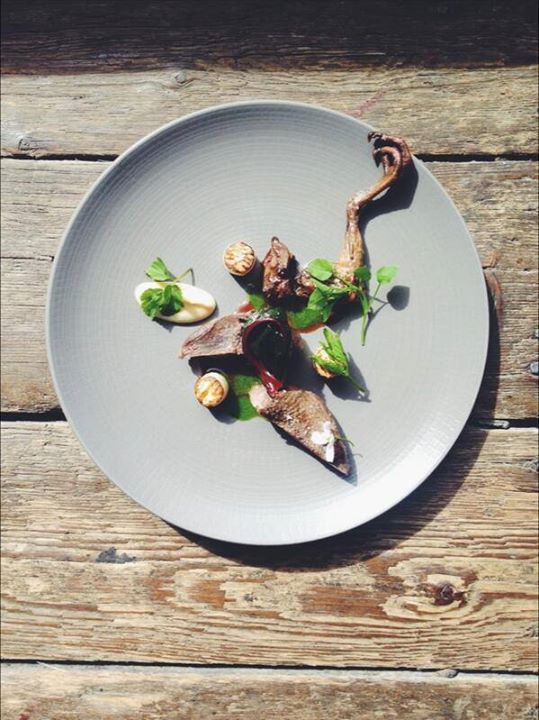 Pigeon céleri blettes