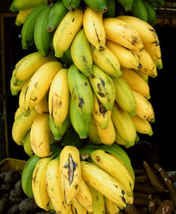 Bananes ©SPKW shutterstock