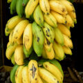 Bananes ©SPKW shutterstock