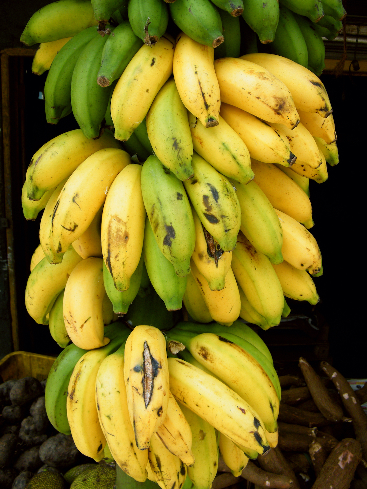 Bananes ©SPKW shutterstock