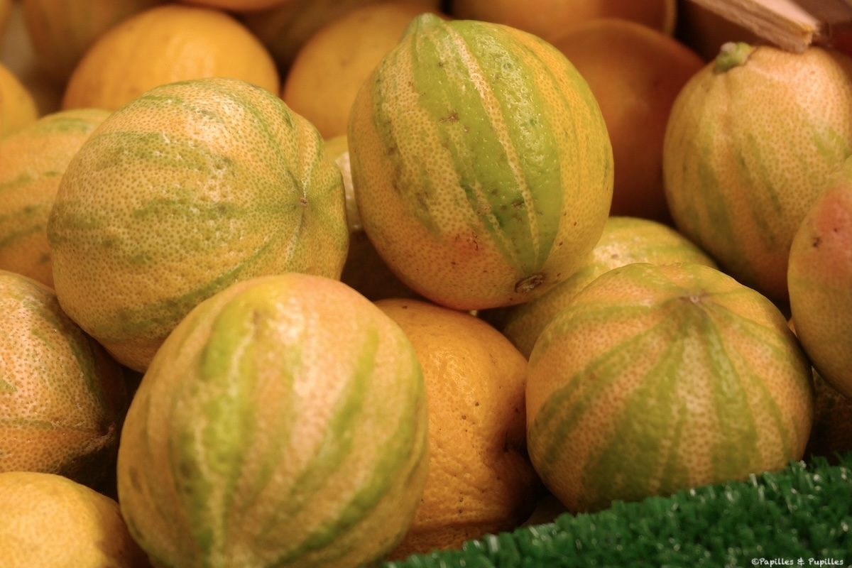 Citrons zébrés