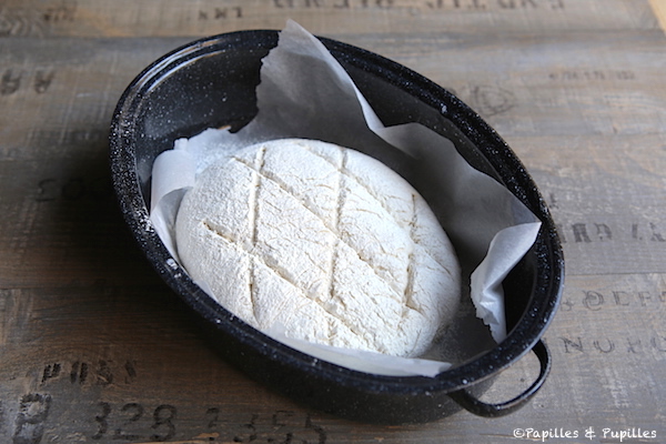 Donnez des coups de lame