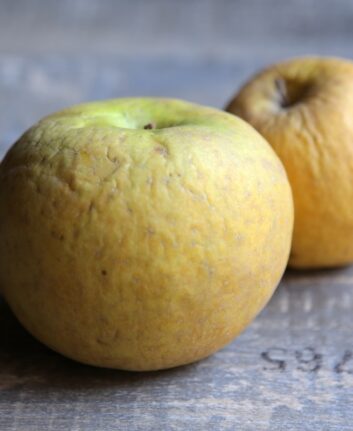Pommes