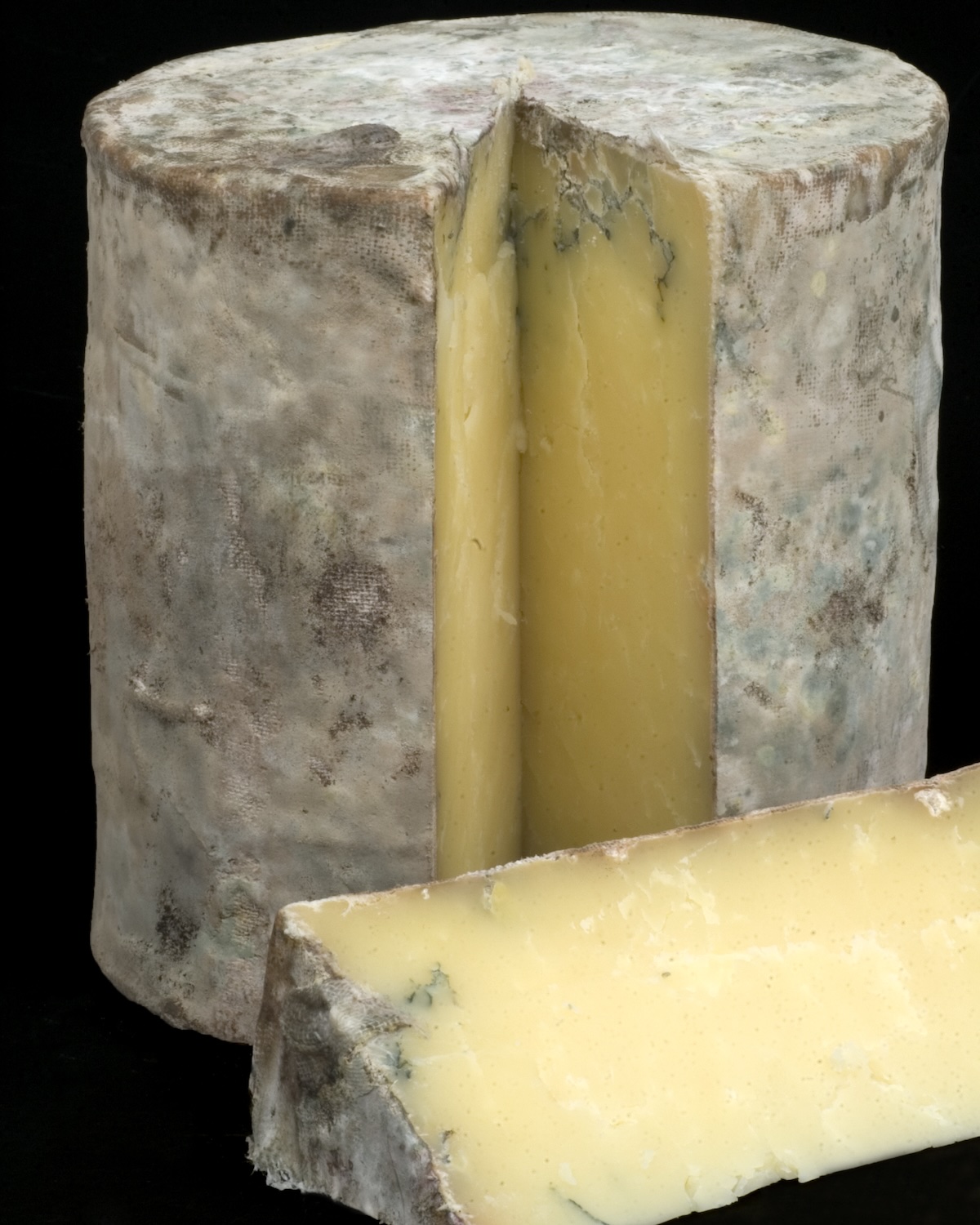 A full cheddar cheese matured in Somerset Caves with a slice cut out