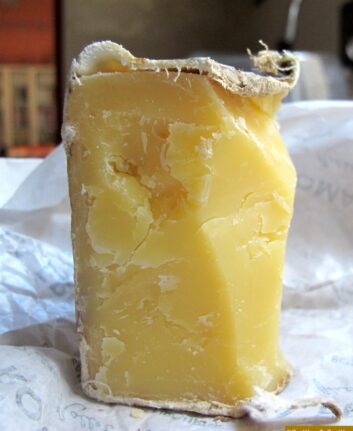 Vieux Cheddar