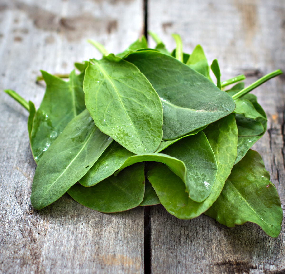 Oseille ©Julia Lototskaya Shutterstock