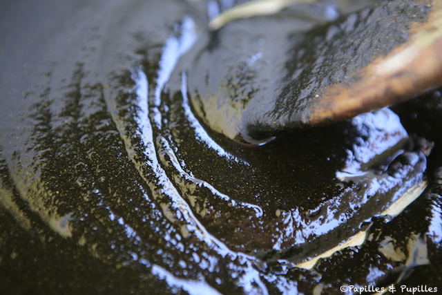 Mélange poudre et huile