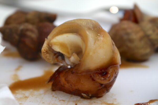 Bulots décortiqués