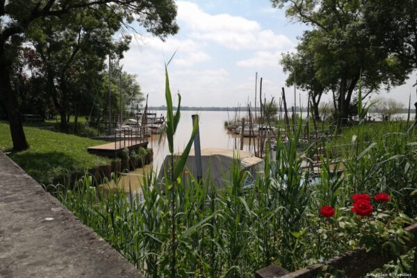 Fenêtre sur l'estuaire