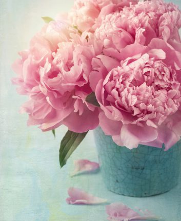 Pivoines ©Elena Schweitzer shutterstock