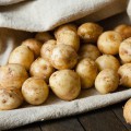 Pommes de terre nouvelles ©Olha Afanasieva shutterstock